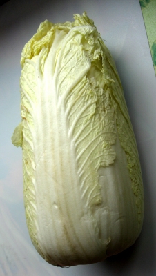 Brassica rapa pekinensis