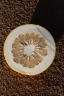 Citrus maxima
