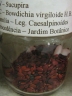 Bowdichia virgilioides